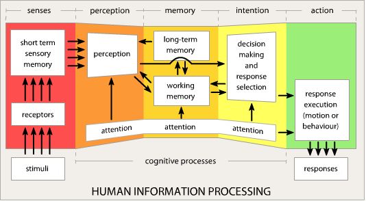 Cognitive process