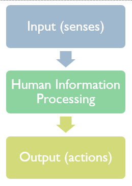 Human information processing